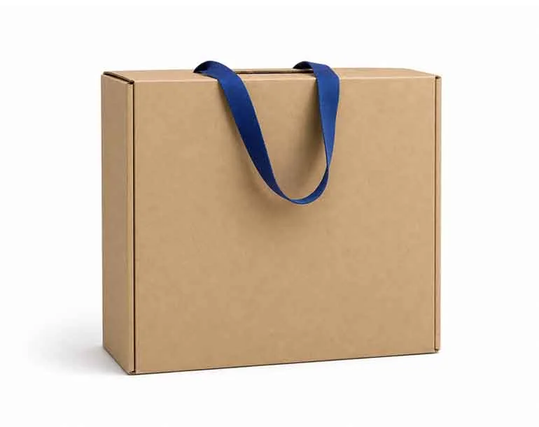 Caja bolsa de cartón microcorrugado con cinta azul